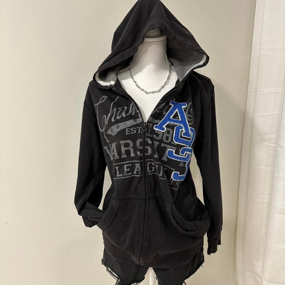 Canyon River Blues Y2K style varsity zip up sweatshirt‎